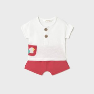 Conjunto Loro Rojo