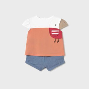 Conjunto Manga Pollito
