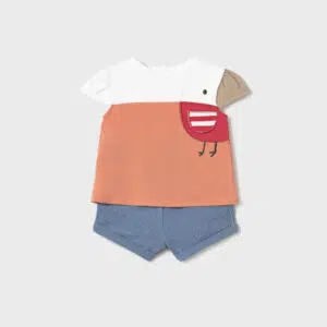 Conjunto Manga Pollito